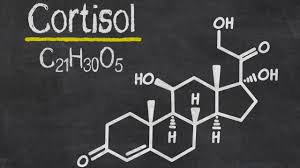bienestar emocional